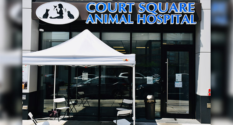 Contact Court Square Animal Hospital
