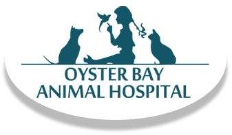 veterinarian-oyster-bay-ny